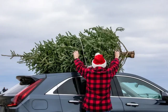 Safe Ways to Transport Your Christmas Tree by Car