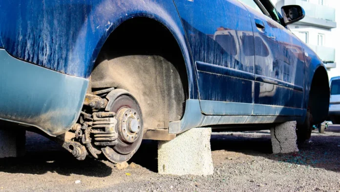 EU’s Controversial Ban on Rubber: A Bold Step Towards Emission Reduction