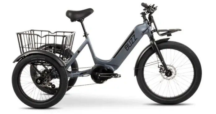 The Buzz Cerana T2: The Affordable E-Trike Taking the Market by Storm